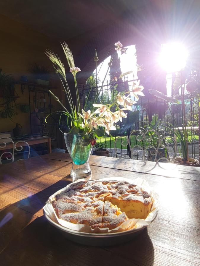 Le Cerase Bed & Breakfast Castelchiodato Exterior foto