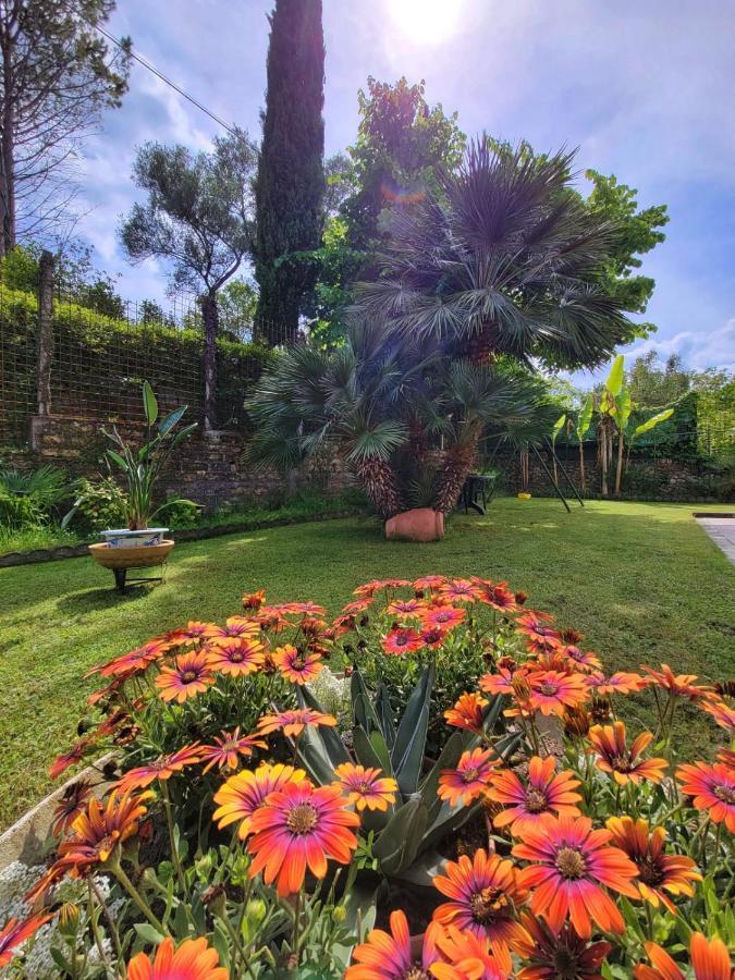 Le Cerase Bed & Breakfast Castelchiodato Exterior foto