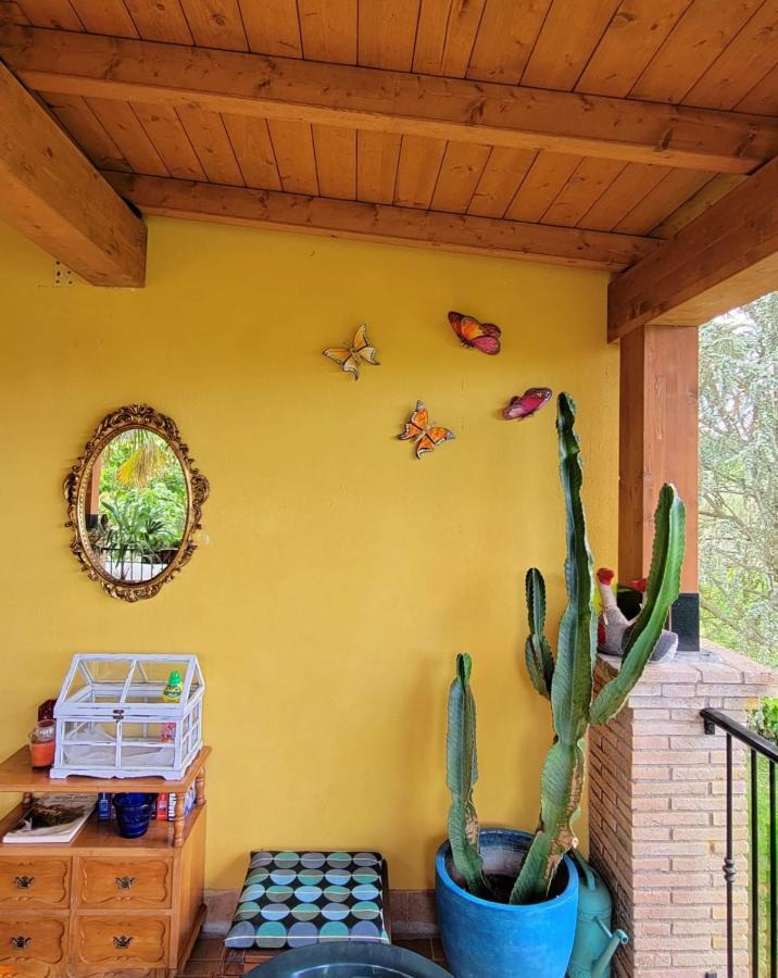 Le Cerase Bed & Breakfast Castelchiodato Exterior foto